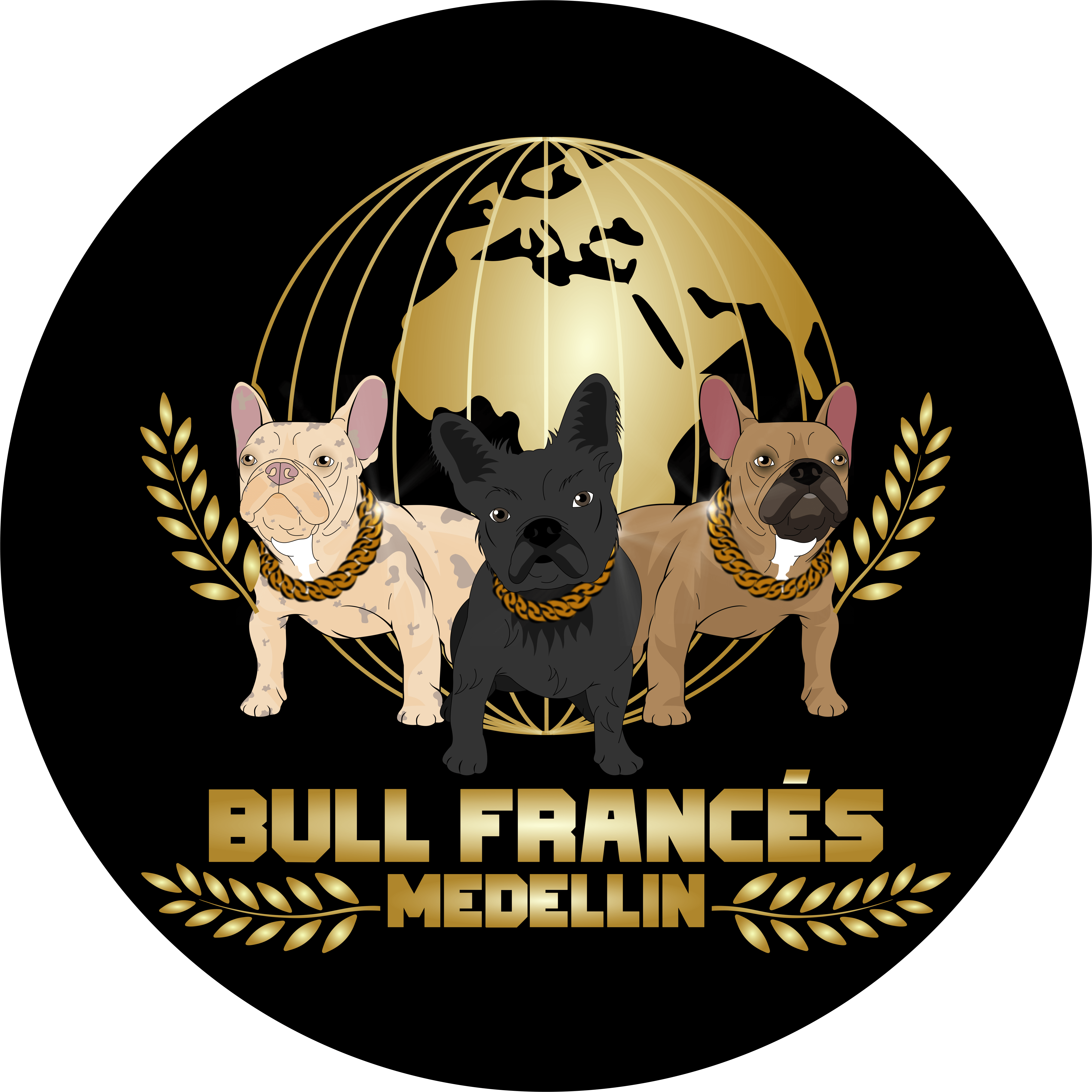 Cachorros Bulldog Frances: Tu Nuevo Compañero Peludo