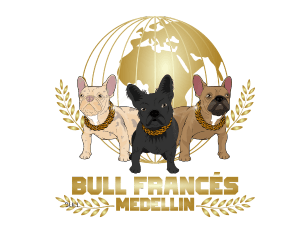 logo-bulldog-frances-medellin